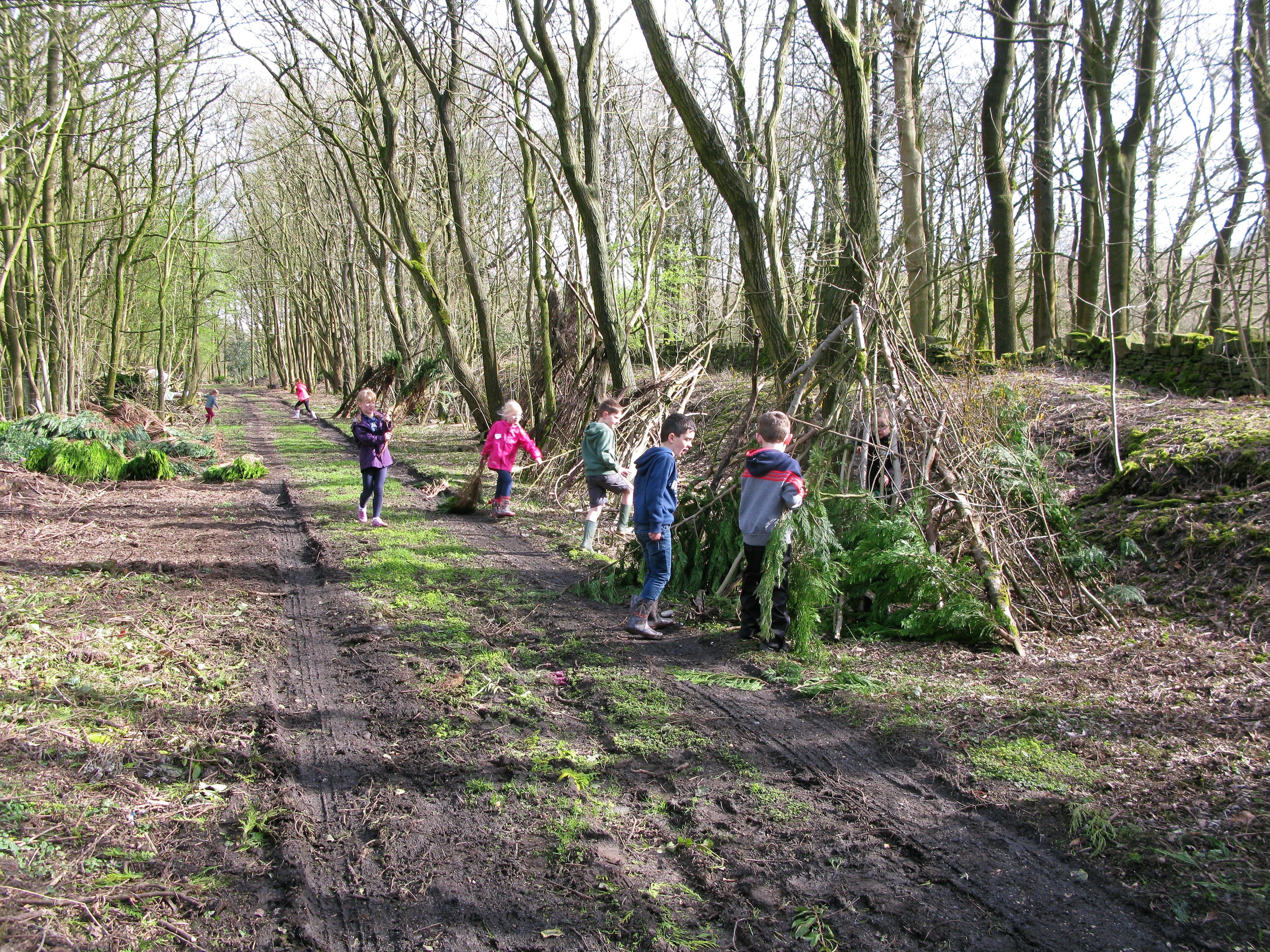 Bushcraft Skills