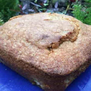 spiced plum cake