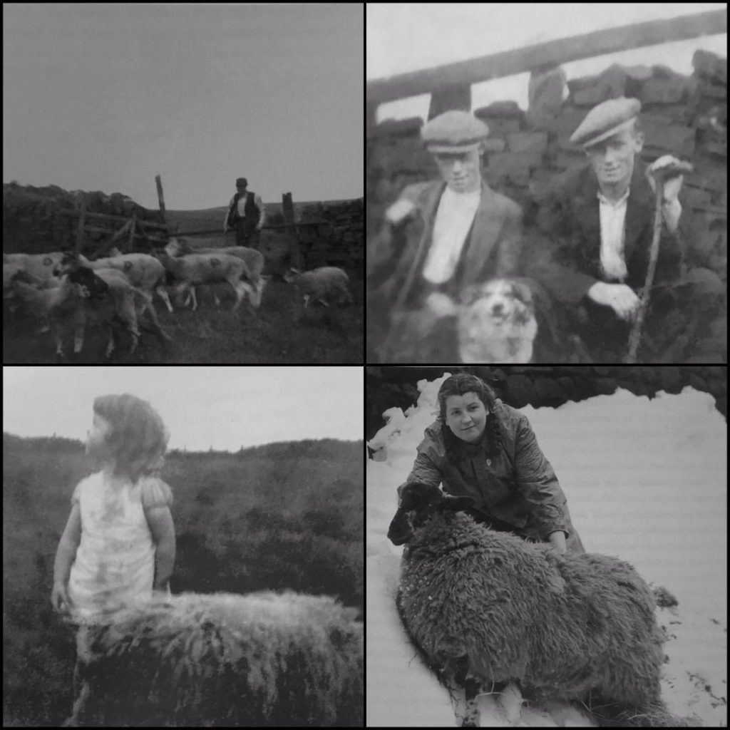 Mayor family in 1930s and 50s